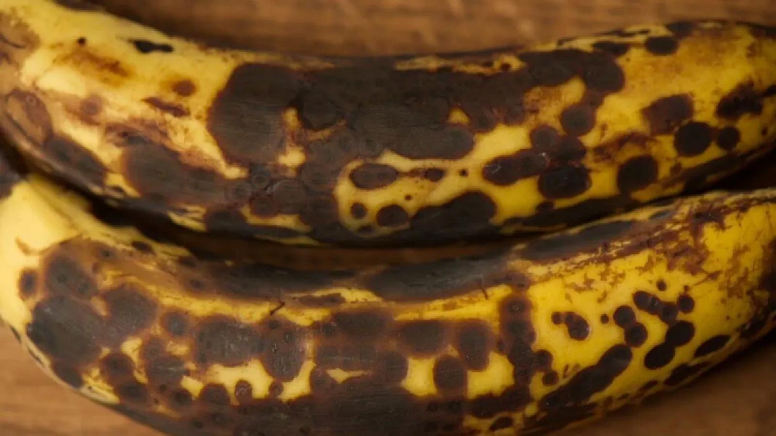 Qaralmış banan