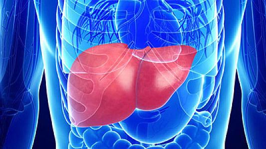 Qaraciyər üçün faydalı ədviyyat: