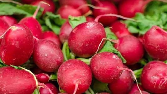 Turpu sağlam bilirdik, zərərli çıxdı: