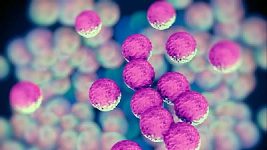 Antibiotiklərə davamlı bakteriyalar sürətlə yayılır: