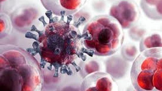 Xərçənglə mübarizədə ümidverici üsul: 