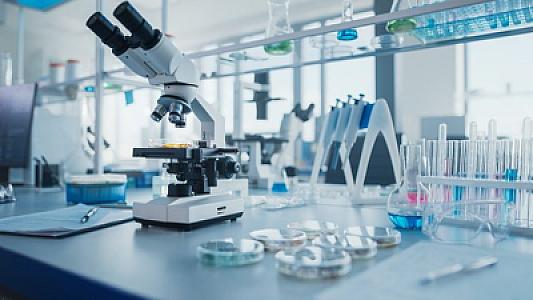 Cəsədlərlə bağlı bilinməyənlər: Elm üçün bağışlanan bədənlər