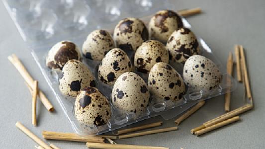 Bildirçin yumurtasının düzgün bişirilmə qaydası necədir? -