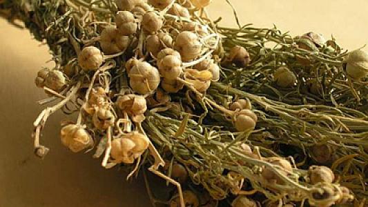 Nazirlikdən üzərliklə bağlı