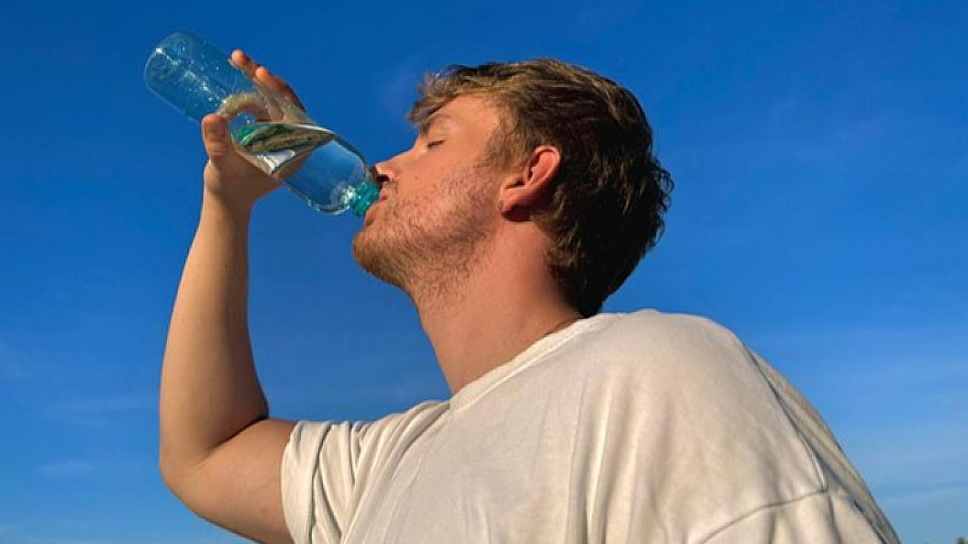 Plastik butulkalar qalxanabənzər vəz və reproduktiv orqanlara