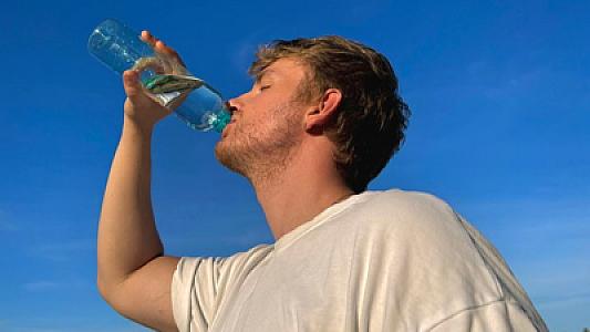 Plastik butulkalar qalxanabənzər vəz və reproduktiv orqanlara