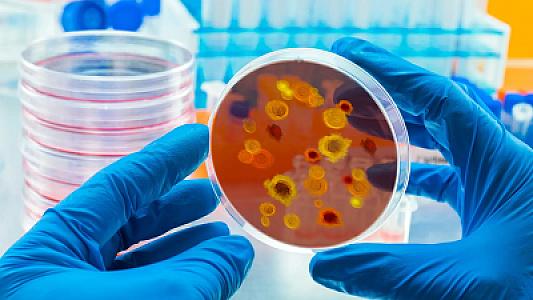 Alimlər indiyə qədər elmə məlum olan