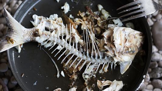 Boğazınıza ilişən balıq sümüyündən bir saniyəyə qurtulun: