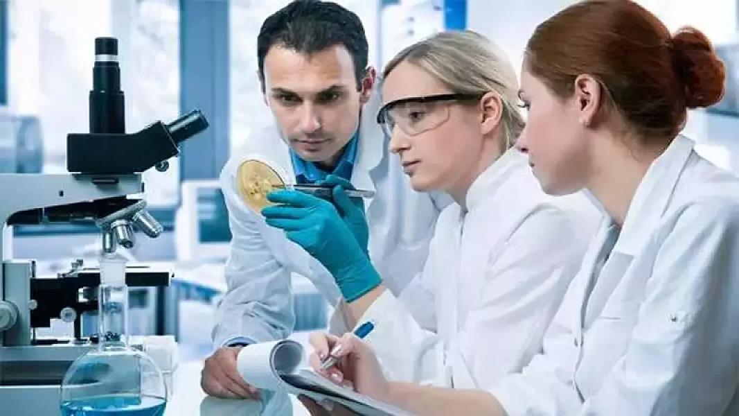 Alimlər piylənmə riskini proqnozlaşdıran