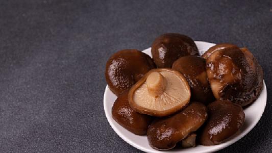 Bu insanlara süd göbələklərini yemək