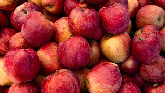 Gündə iki alma yeyəndə nə baş verir? -