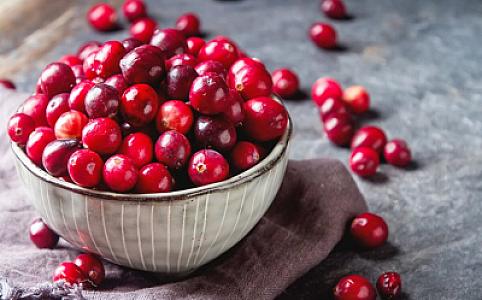 Alimlər insan ömrünü 16 il uzatmağın sadə yolunu