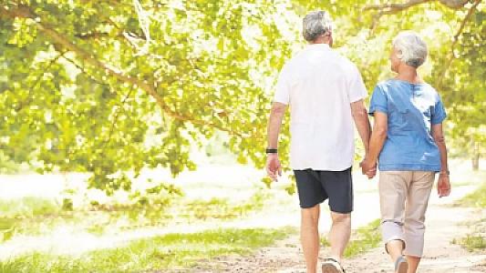 Yapon yürüşü edin,