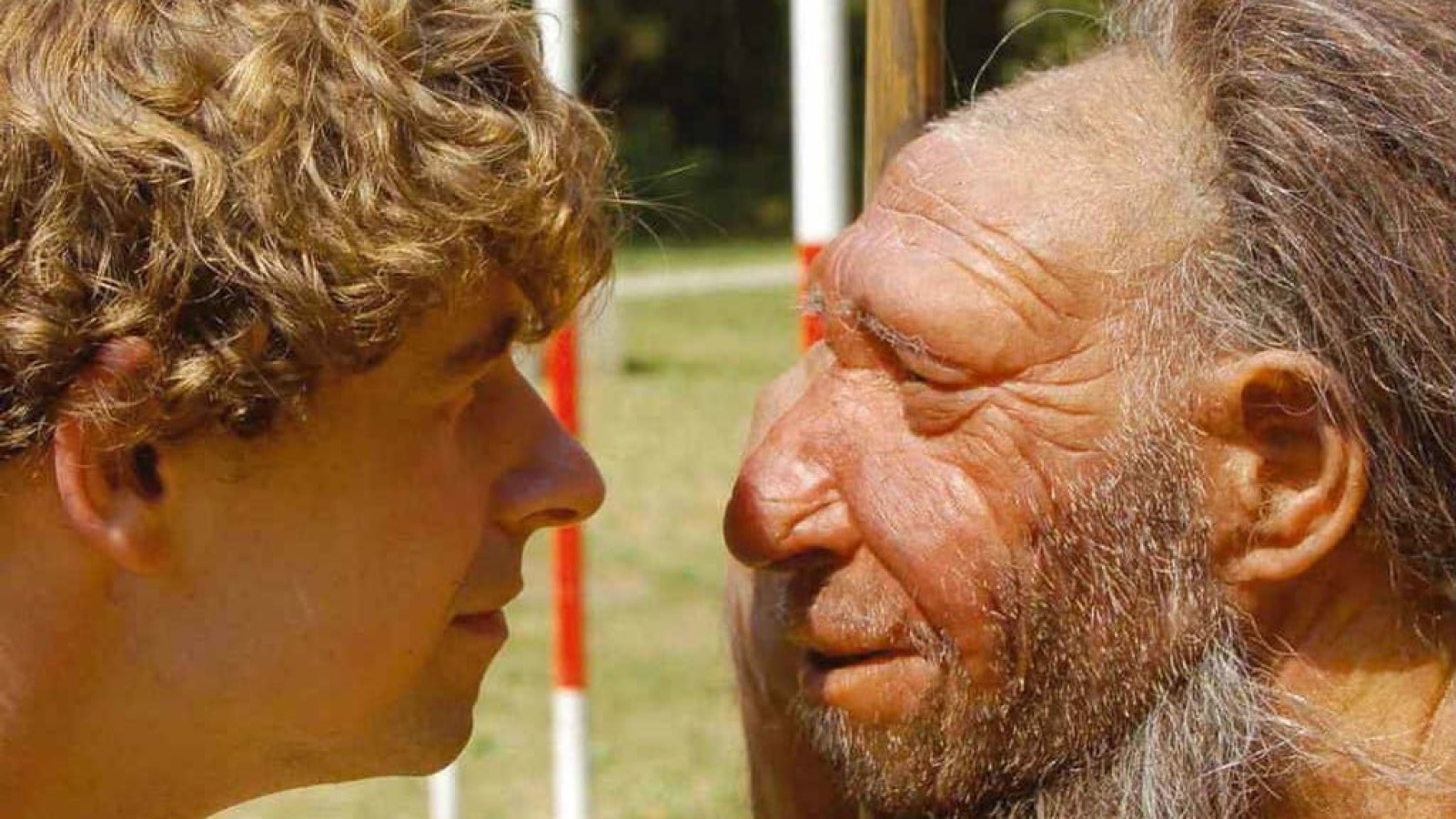 Baş ağrıları neandertalların