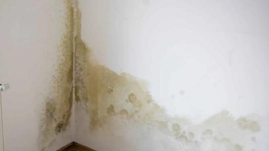 Otağa bir ədəd qoymaq kifayətdir: