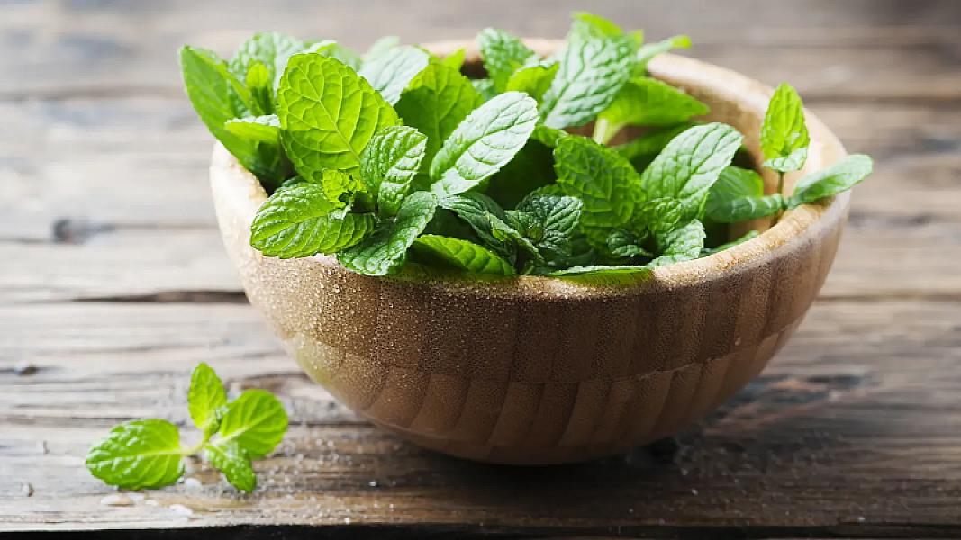 Min bir dərdin dərmanı -