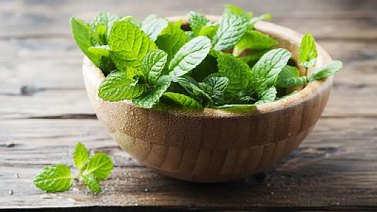 Min bir dərdin dərmanı -