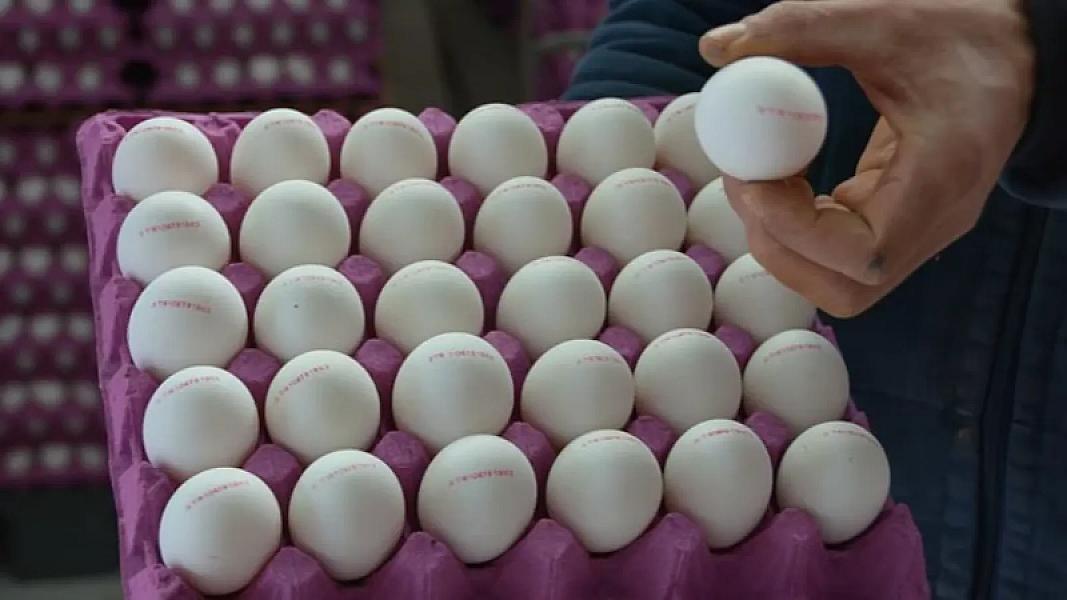 Yumurtalarda gizli təhlükə: qablaşdırmadakı