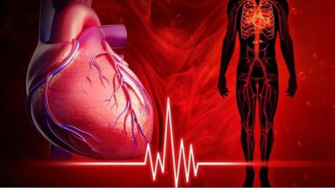 Ürək və qan damarlarının sağlamlığını qorumaq üçün