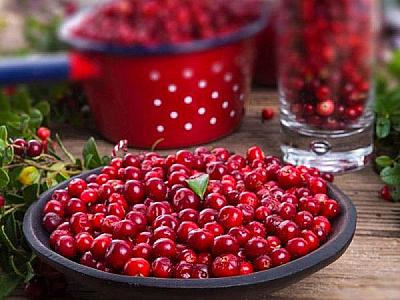 Soyuqdəymənin dərmanı olan quşüzümünün daha bir əvəzolunmaz xüsusiyyəti aşkarlandı -