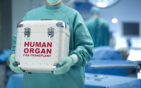 Şəxsin ölümündən sonra orqanlarının bağışlanması ilə bağlı razılıq ərizəsinin forması