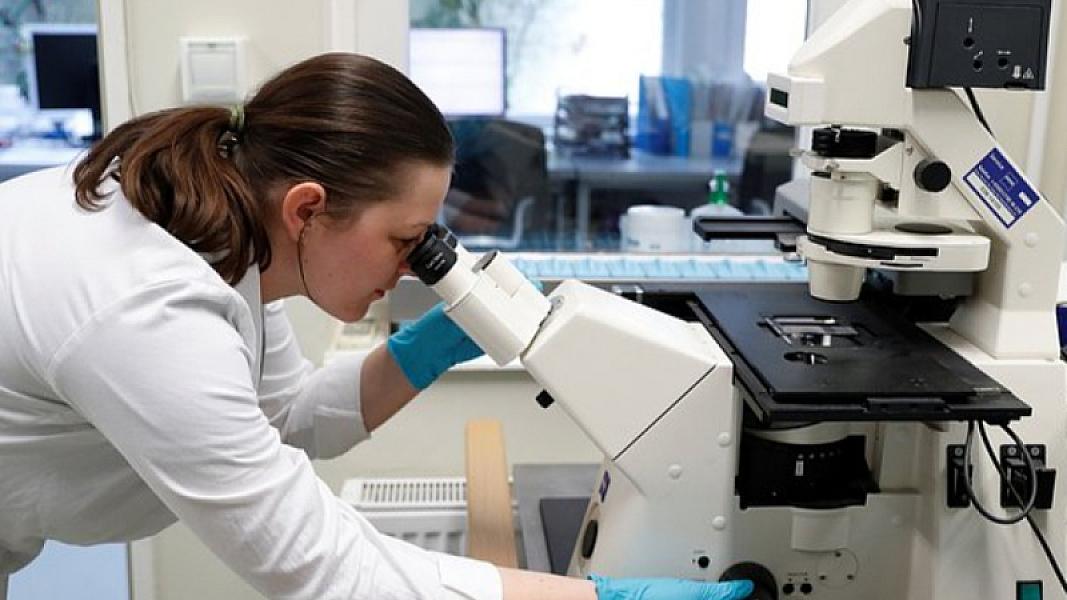 Xərçəngə qarşı