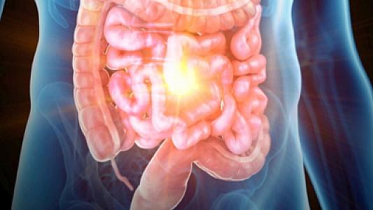 Bədənimiz necə nəcis edir?