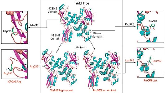 Alimlər dünyanın ən çox yayılmış xərçənglərindən birinin