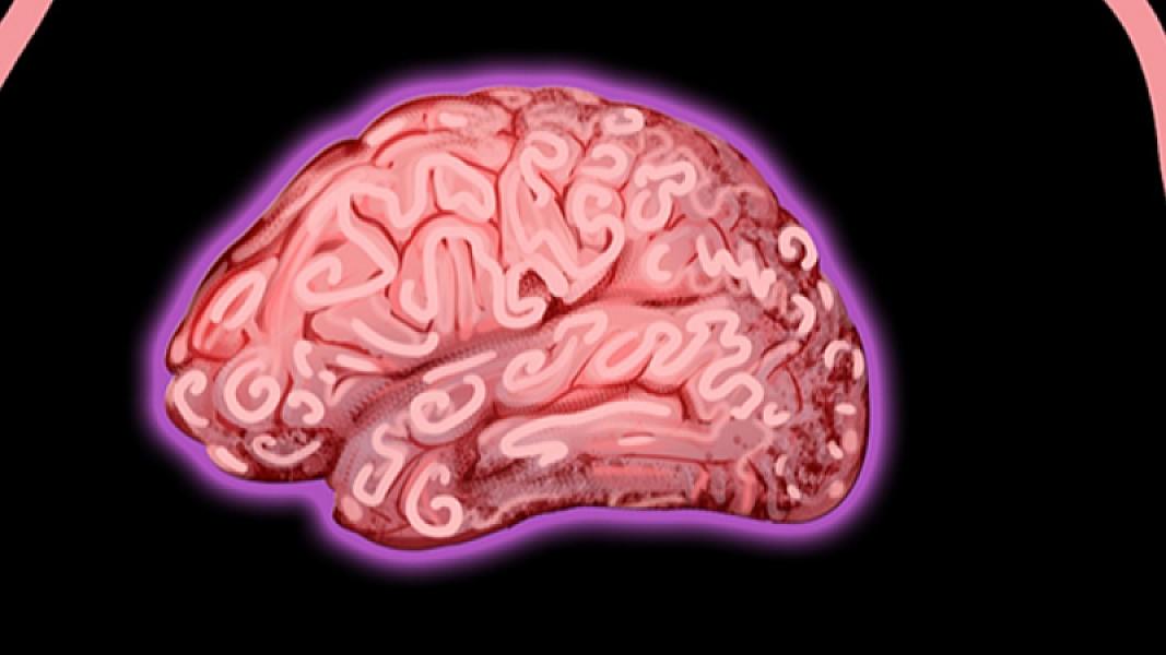 Ananın mikrobları körpənin beyin inkişafına təsir edə bilər -