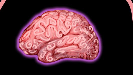 Ananın mikrobları körpənin beyin inkişafına təsir edə bilər -