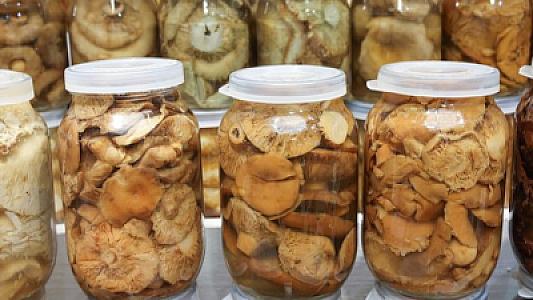 Evdə hazırlanmış konservlərin