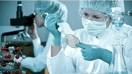 Alimlər arıqlamanın bioloji mexanizmini