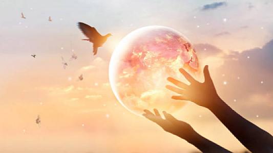 Mənəviyyatın ucuzlaşdığı dövr: