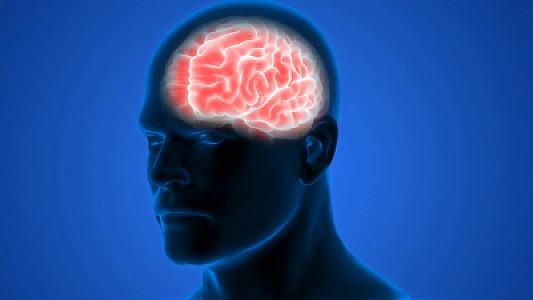 Qərar qəbul etmə zamanı beynin tam aktivliyi necə olur? -