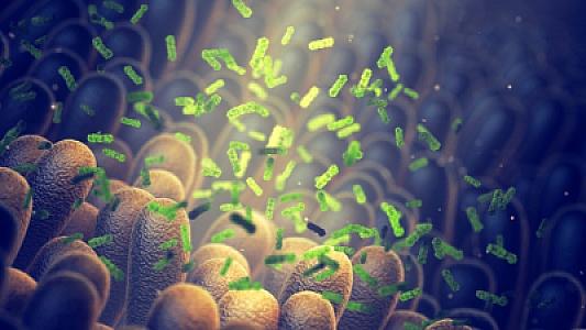 Bir nəcis nəqli 4 il ərzində diabet və ürək xəstəlikləri riskini