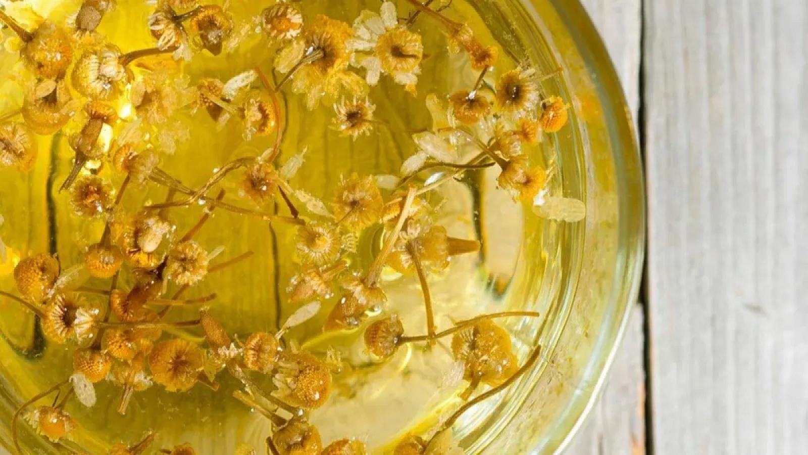 Çobanyastığı çayının elmi olaraq təsdiqlənmiş