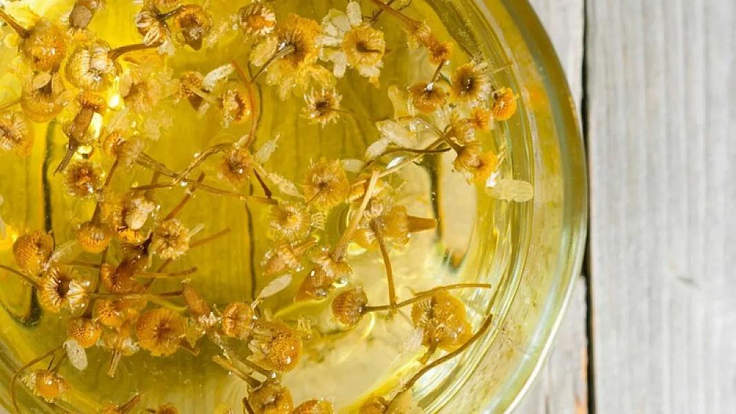 Çobanyastığı çayının elmi olaraq təsdiqlənmiş