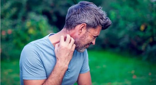 Pivə içənlər ağcaqanadların hədəfi olur - 