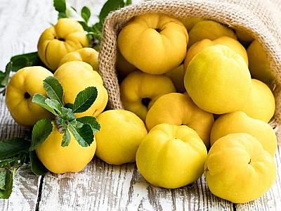 Bir meyvə, min faydası: 