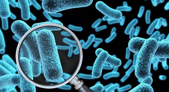 Nadir parazit infeksiyası Hindistanda 