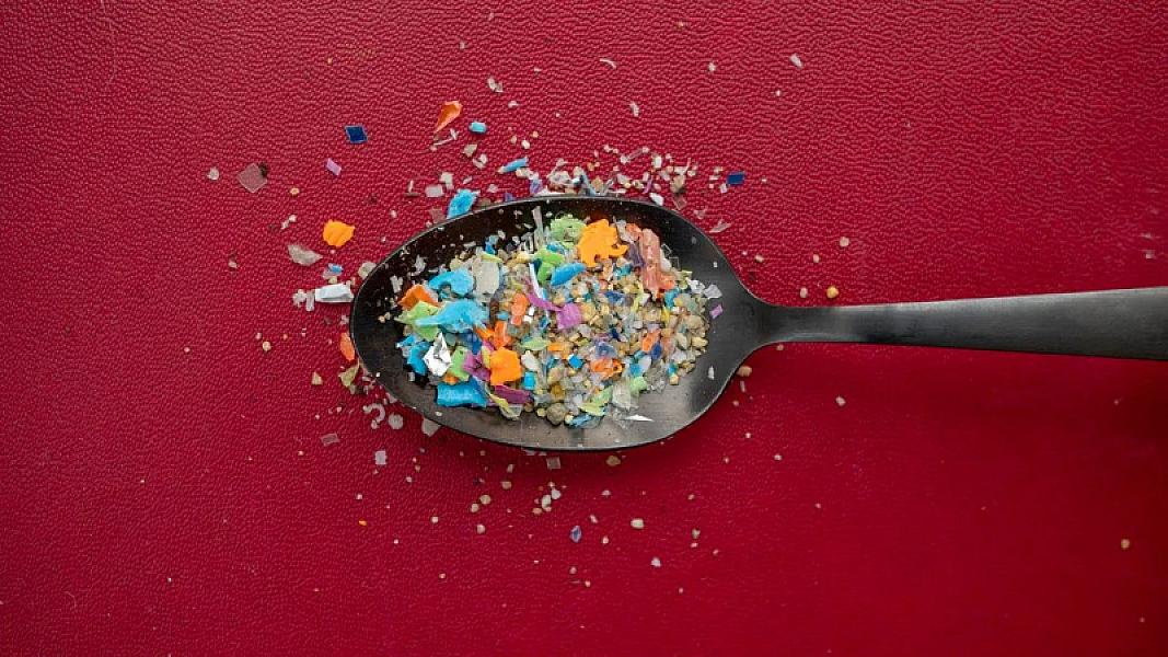 Plastik yeməyi dayandırmağın vaxtı gəldi - 