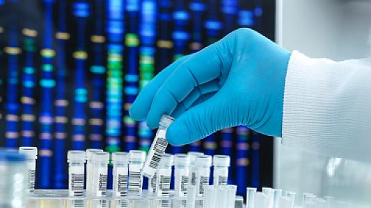 Yeni genetik test tox olma dərəcəmizi yoxlayacaq - 