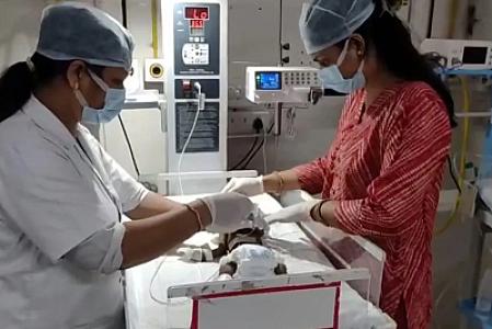 Hindistanda diri-diri basdırılmış körpə 