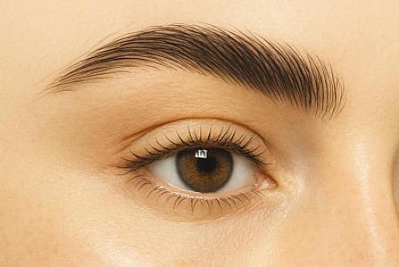 Qaşlar niyə tökülür? 