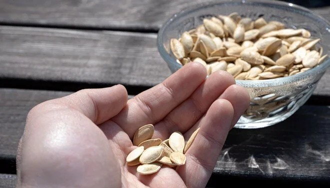 Bir il yarım davam edən öskürəyinin səbəbi