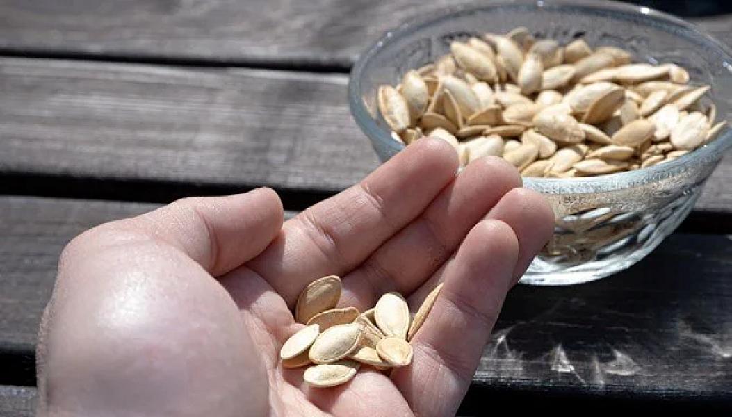 Bir il yarım davam edən öskürəyinin səbəbi