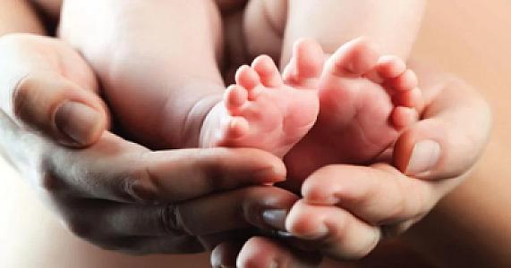 Xeyirxahlıq adı ilə qanunsuzluq: