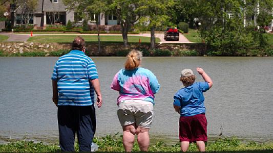 Piylənmədə hansı daha təsirlidir: