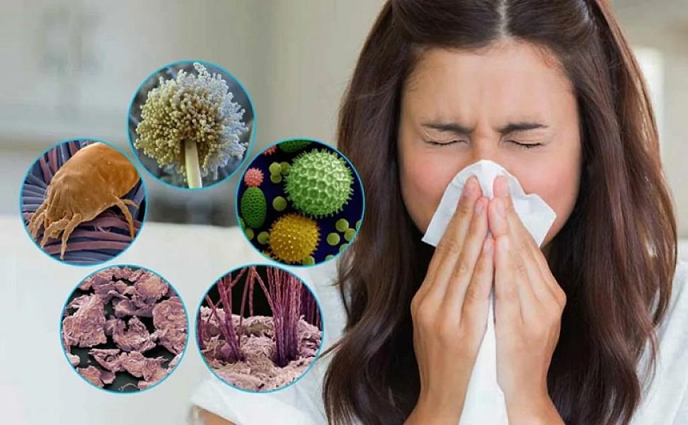 Ev tozu allergiyası nədir?