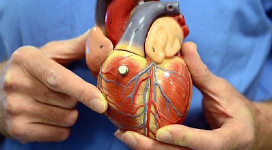 Qəfil ürək dayanmasını artıran amil 